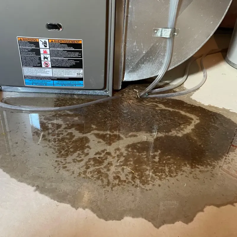 Appliance Leak Cleanup in Wanatah, IN